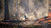 Spring prescribed fire projects planned to begin on the Tahoe National Forest soon