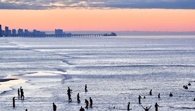 3 Alabama Men Die While Swimming at Florida Beach