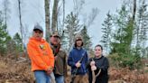 How Wisconsin’s elk herd and elk hunt are making a comeback after decades of work by the DNR and tribal nations