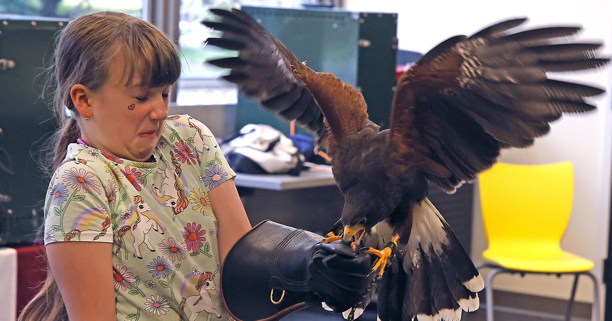 PHOTOS: Ohio School of Falconry Lands at Clark County Library