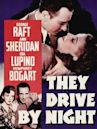 They Drive by Night (1938 film)