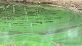 Avoid certain sections of Lake Anna due to harmful algae blooms