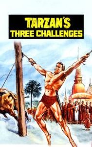 Tarzan's Three Challenges