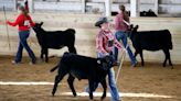 Where's the beef? Check out these winners from the Ashland County Fair