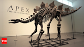 Ken Griffin revealed as buyer of $44.6m Stegosaurus fossil - Times of India