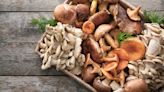 多吃「菇類」讓你益氣延年、延緩衰老！中醫師公開6種菇類好處，「這一種」化痰又抗癌