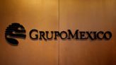 Mexico takes over part of Grupo Mexico railway, shares fall