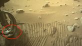NASA Mars Rover Picks Up Pet Rock Named ‘Dwayne’