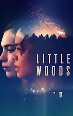 Little Woods