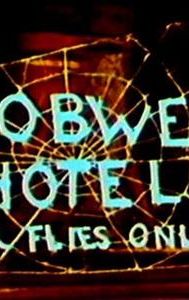 The Cobweb Hotel