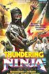 Thundering Ninja