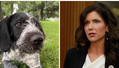 Kristi Noem, gobernadora de Dakota del Sur confesó haber matado a su propia perrita