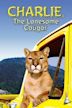 Charlie, the Lonesome Cougar