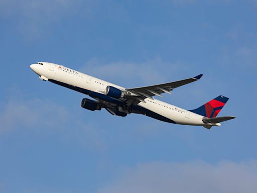 A Delta Air Lines flight had to turn around when 24 people needed medical attention after eating spoiled food