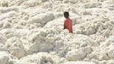 Labour worries, low prices haunt cotton growers across the country