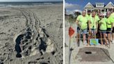 First sea turtle nest spotted in Garden City days before season starts