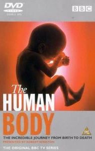 The Human Body