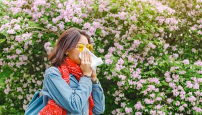 Rough allergy year: Why, and how to make it through