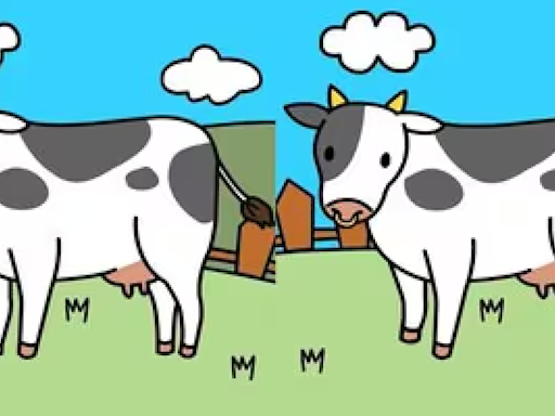Solo los mejores pastores superan el reto: halla las 5 diferencias entre las imágenes de la vaca