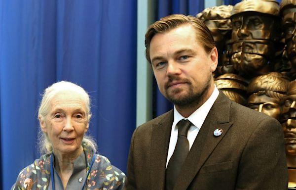 Leonardo DiCaprio & Jane Goodall To Exec Produce ‘Howl’ From Promethean Pictures: Live-Action Film About A Dog...