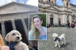 I spent $1K to take my dog on a month-long vacation in Italy — it was worth every penny