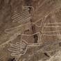 NAZCA LINES Lizard