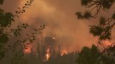 California Insurance Commissioner announces major wildfire coverage reform