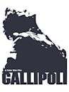 Gallipoli