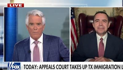 Rep. Henry Cuellar on border crisis: 'There's enough blame to put on everybody'