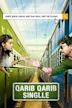 Qarib Qarib Single