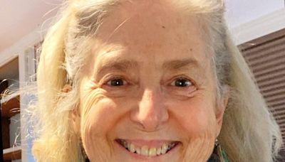Sherman Democrats endorse Anne Weisberg in 108th House race, challenging incumbent Patrick Callahan