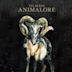 Animalore