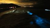 Olas bioluminiscentes regresan las costas de San Diego