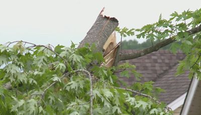 Storm causes damage in Eureka, Missouri