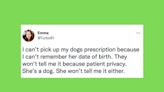 20 Of The Funniest Tweets About Cats And Dogs This Week (Oct. 8-14)