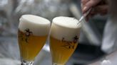 Researchers use AI model to improve beer taste