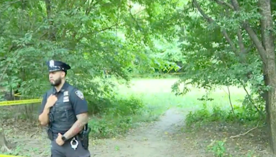 NYPD searching for man who sexually assaulted a woman sunbathing in Central Park