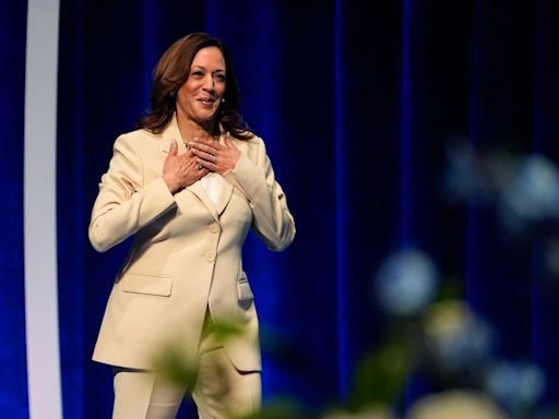 Partido Demócrata en Puerto Rico hará campaña para que boricuas voten por Kamala Harris en cuarta papeleta el 5 de noviembre - El Diario NY