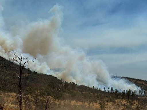 Quincy Fire east of Oroville burns over 100 acres, forces evacuation warnings