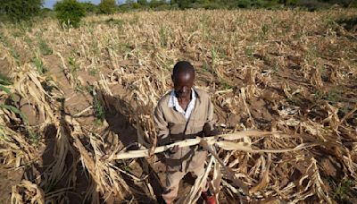 Dürre im Süden Afrikas bedroht 24 Millionen Menschen