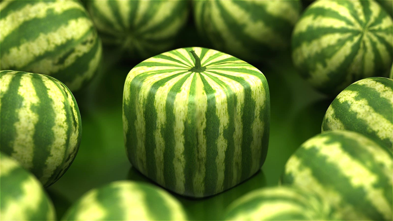 Japan's Wildly Expensive Square Watermelons Aren't Even Edible