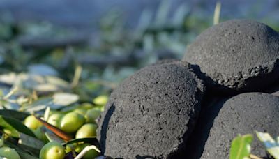 橄欖榨油後大妙用！環保的「橄欖核炭磚」不只燃燒更久、還能減少碳排放！
