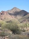 McDowell Mountains