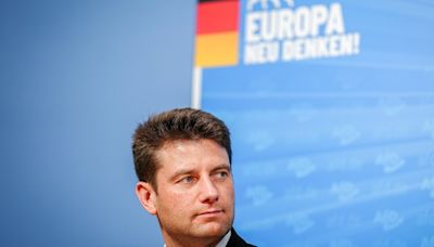 Mit Partnern aus acht Ländern, aber ohne Krah - AfD plant Fraktionsgründung im EU-Parlament