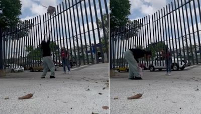 Estaban intentando pasar una mochila por arriba de una reja y un grito las descolocó