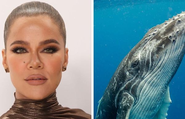 Khloe Kardashian suspects her children are using whale drawings to make fun of her