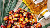 Malaysia to increase cooperation in palm oil and other sectors - The Economic Times