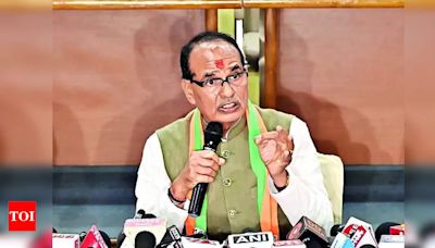 Commission-raj rules Jharkhand: BJP Minister Chouhan | Ranchi News - Times of India