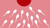 How Much Do You Get Paid to Donate Sperm? We've Got All the Answers