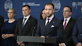 'Lone wolf' charged in attempted killing of Slovakia's leader